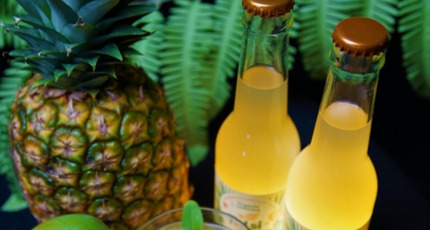 De 4 voordelen van Tulsi